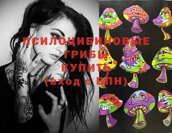 спайс Арсеньев