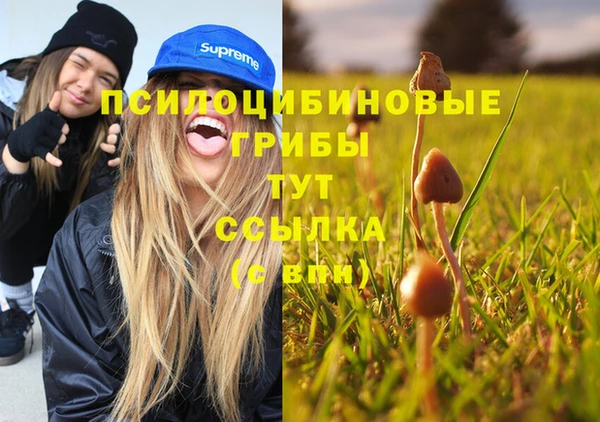 ешки Аркадак