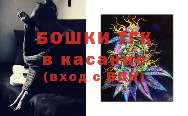 ешки Аркадак