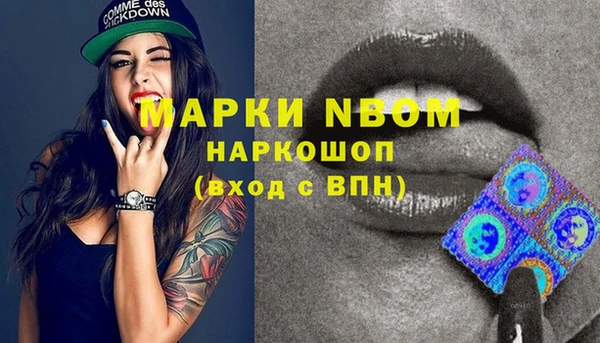 ешки Аркадак